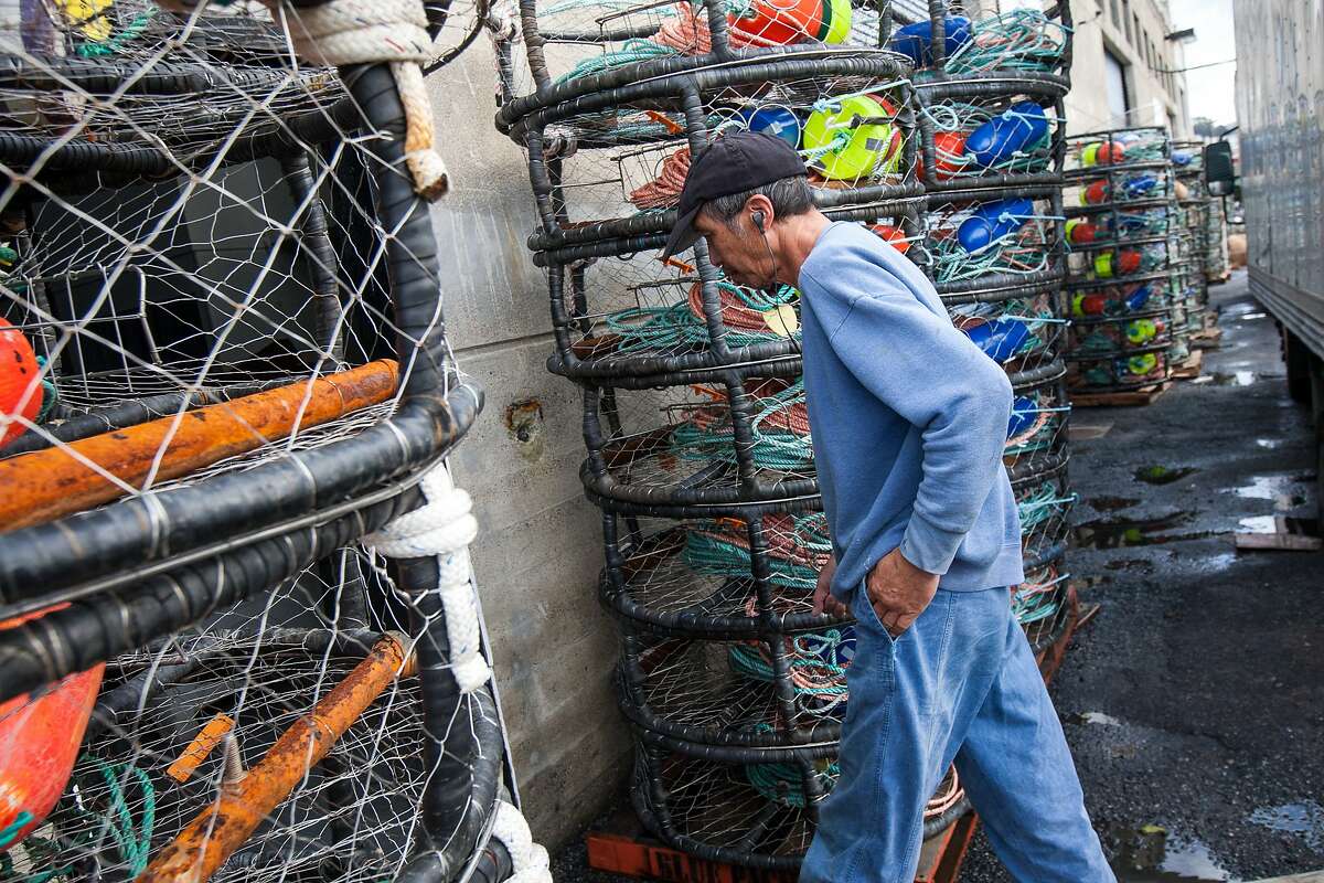 A man walks past crab pots at Pier 45, Monday, Nov. 2, 2015, in San Francisco, Calif. A toxic algae bloom in the Pacific may delay the start of Northern California's Dungeness crab season, which is set to start this Saturday for recreational fishermen and a week later for the commercial season. State officials are currently testing crabs for the presence of domoic acid, a neurotoxin that can cause memory loss, seizures and even death when consumed by humans.