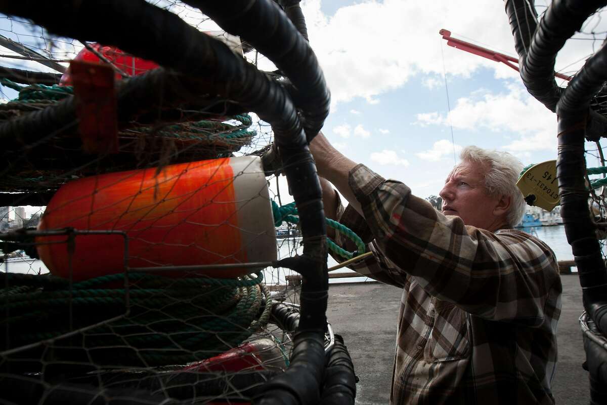 Mike Mitchell prepares his crab pots at Pier 45, Monday, Nov. 2, 2015, in San Francisco, Calif. Mitchell is the owner of the fishing vessel Linda Noelle. It will be his 45th year fishing for crabs. Mitchell said he would rather take a financial hit this season, instead of selling potentially harmful crabs. A toxic algae bloom in the Pacific may delay the start of Northern CaliforniaÂ's Dungeness crab season, which is set to start this Saturday for recreational fishermen and a week later for the commercial season. State officials are currently testing crabs for the presence of domoic acid, a neurotoxin that can cause memory loss, seizures and even death when consumed by humans.