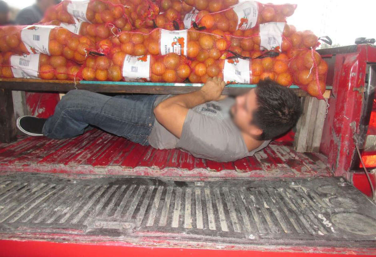 U.S. Customs and Border Protection agents found several people hiding inside this pickup carrying oranges.