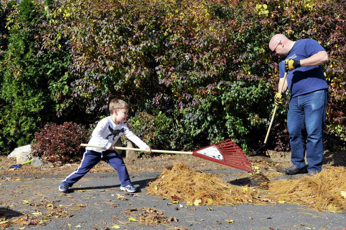 Stamford leaf pickup begins next week