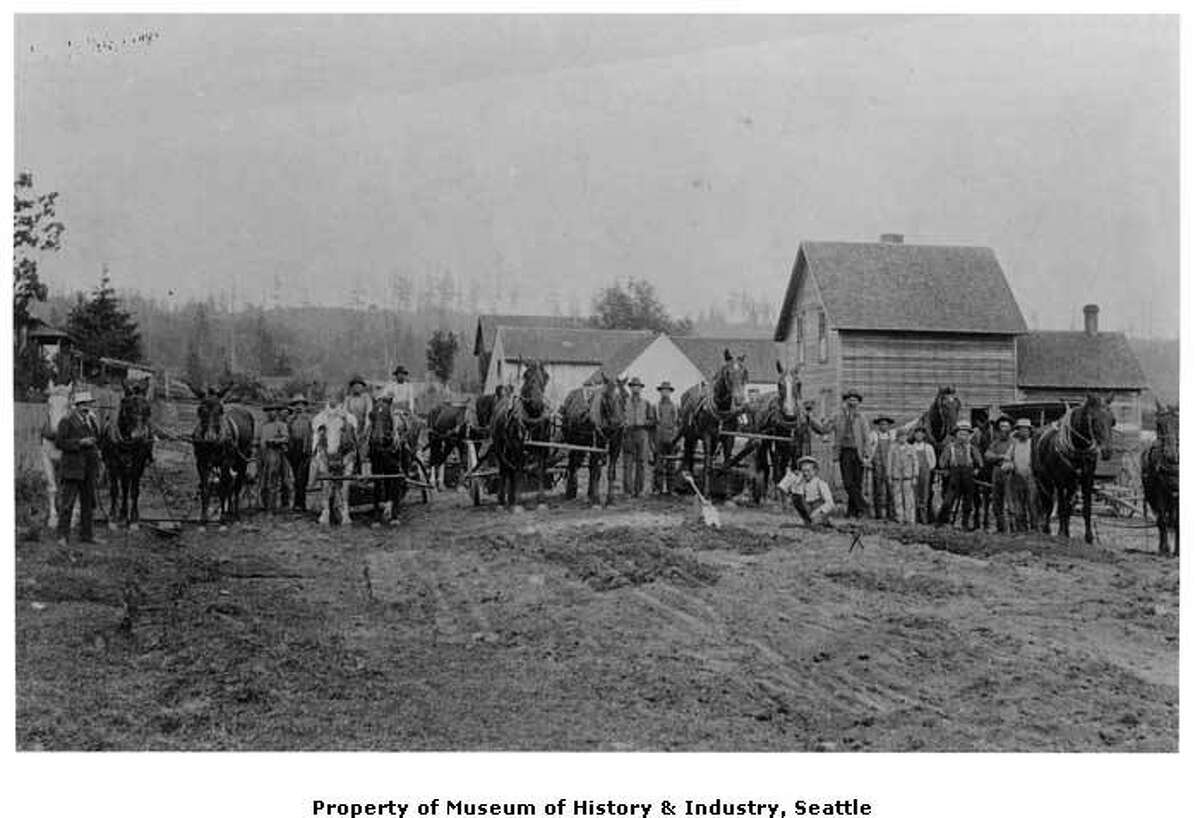 "A building boom started in Ballard after it was incorporated in 1890. Building streets was a real challenge. Loggers cut the trees, and teams of horses and mules dragged the stumps out of the ground. In a few cases, routes were laid out around stumps that couldn't be pulled. The streets then had to be cleared of debris, plowed, harrowed, and graded. Crews laid down wooden planks on some streets to make it easier to travel in mud . This photo, taken sometime in the 1890s, shows a street grading crew and their animals posed for the photographer in the 900 block of West 57th Street in Ballard." -MOHAI. Photo courtesy MOHAI, image number shs17199.