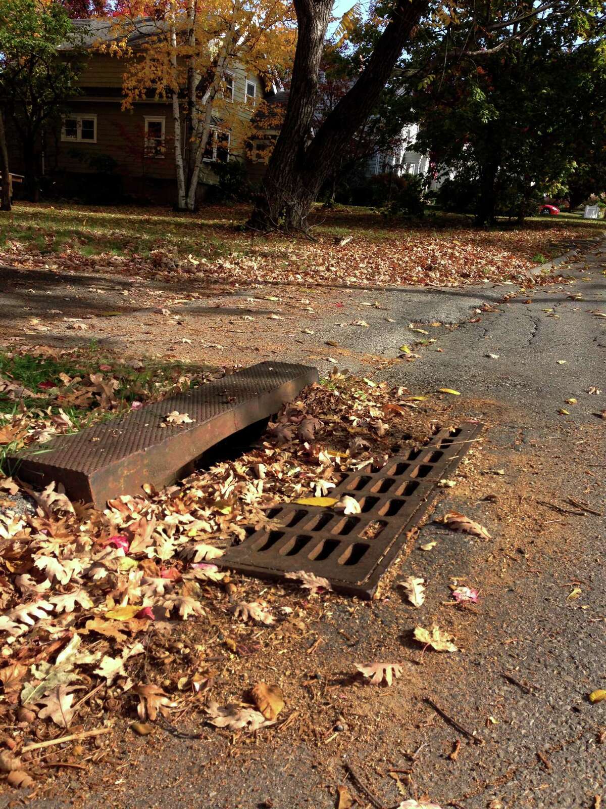 Stamford leaf pickup begins next week