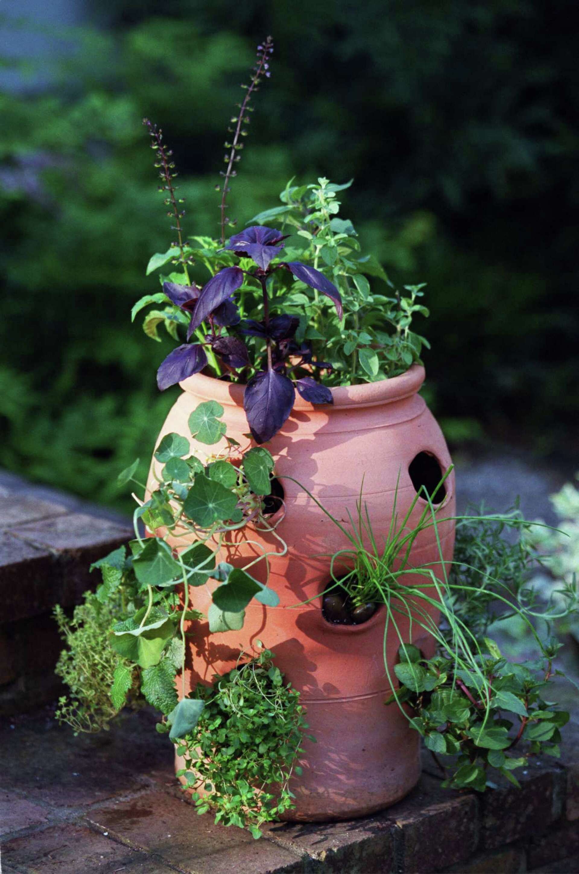 Planting an herb tower