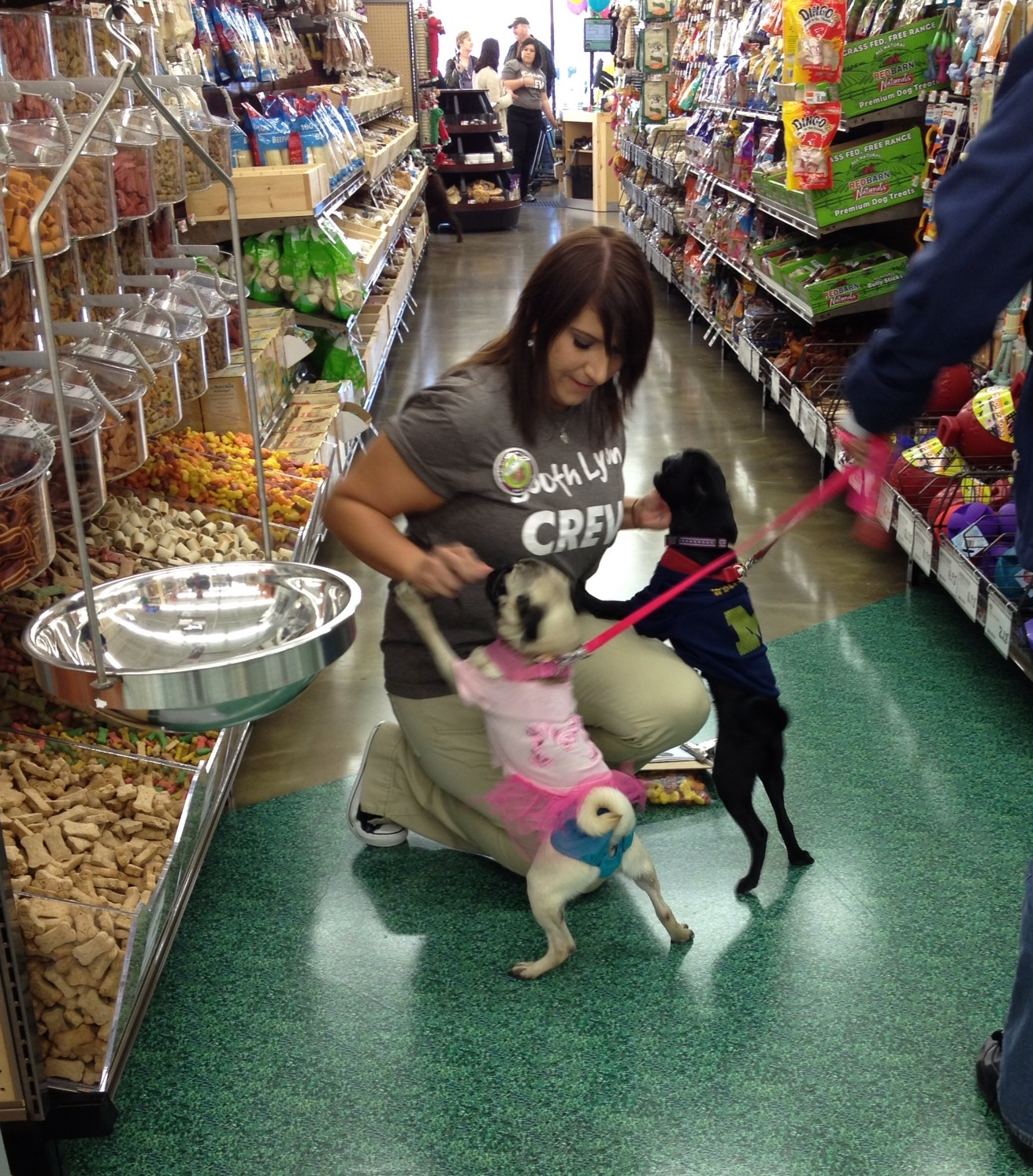 Retail Wrap Pet Supplies Plus, Burlington, Costco open Houstonarea stores