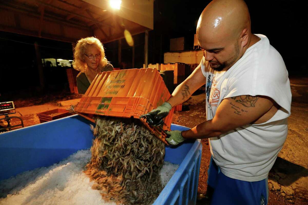 Seafood business owner Juanita Harrison (left) and employee Lee Hampton of Capt. John's Seafood pour freshly caught shrimp into a crate near Baytown, Texas after sunset on Thursday, Oct. 29, 2015. The Harrison family has been in the seafood business for two generations and ship shrimp all throughout the country. (Kin Man Hui/San Antonio Express-News)