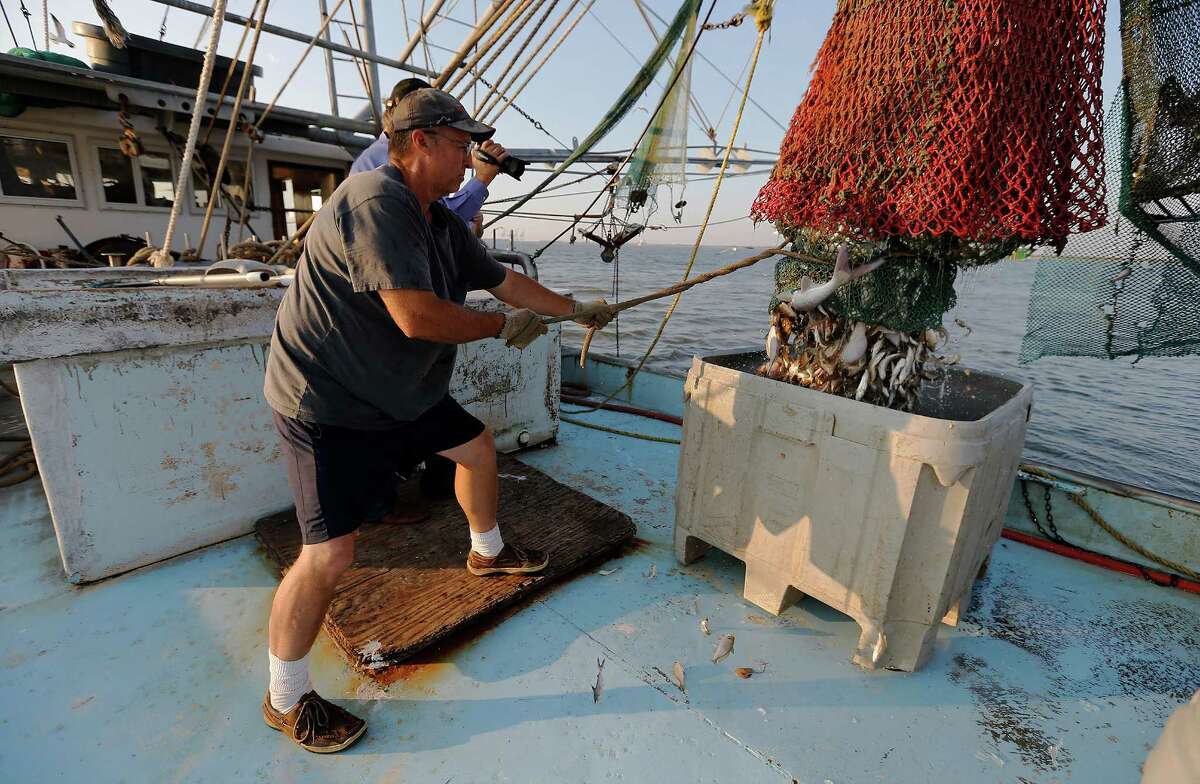 Gulf shrimpers struggle while contamination grows in imports