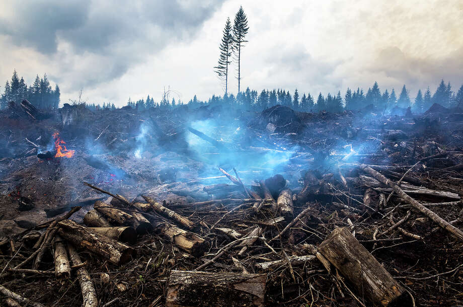 Ghost towns of Washington Camp Grisdale