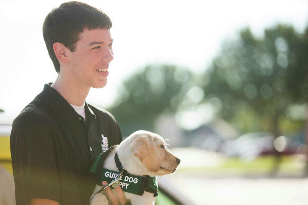 Kennedy Hood, 16, a student at J. Frank Dobie High School holds the six-week-old dog guide puppy called Lindon. Hood will take care of Lindon for the next year until he is mature and trained to be a dog guide. Total of 40 students applied for the opportunity, but only three students were picked. The students grades, behavior and support system at home were taken into consideration as part of the selection process. Tuesday, Nov. 10, 2015, in Pasadena.