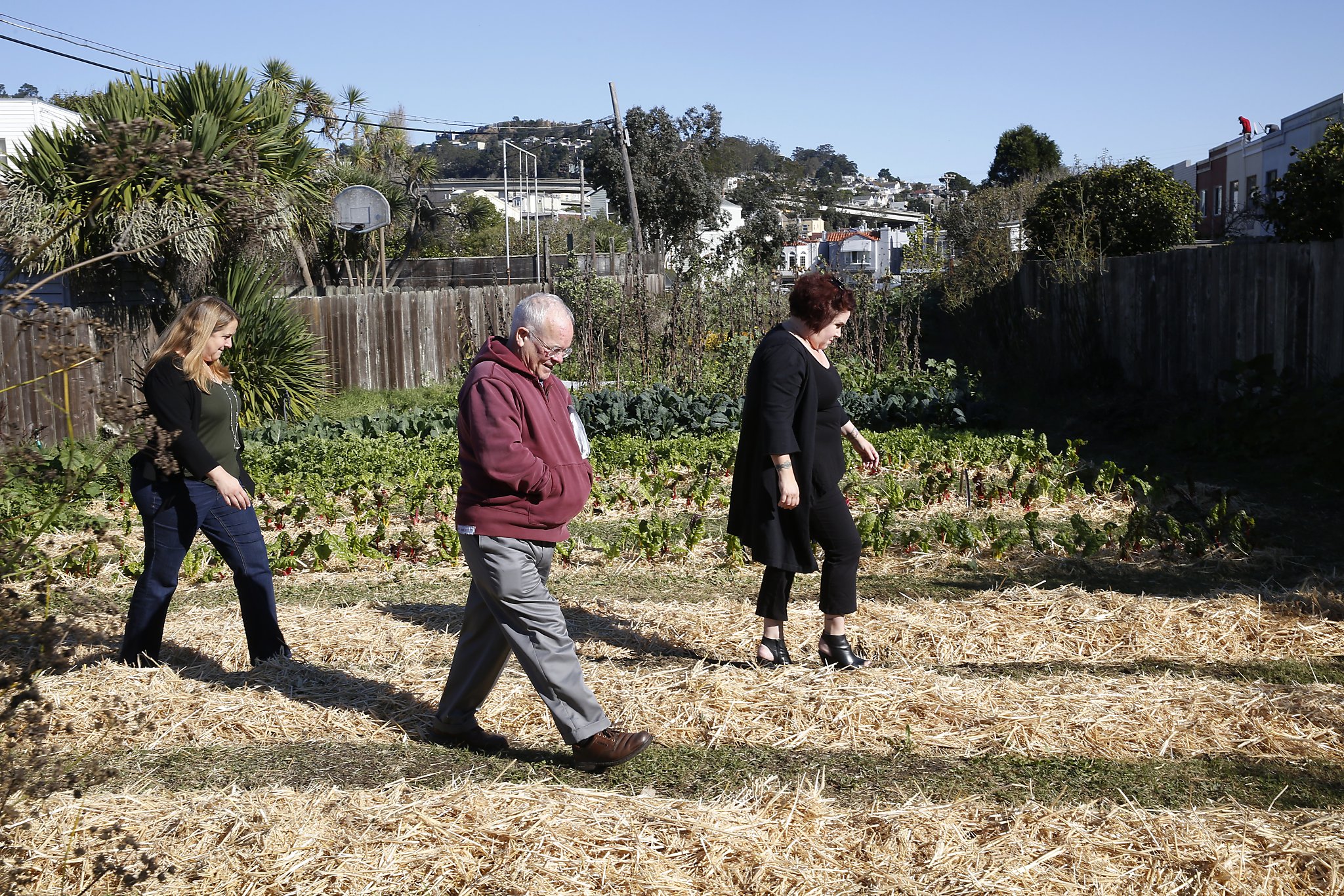 S.F. neighbors fighting startup school that's uprooting tiny farm - San Francisco Chronicle