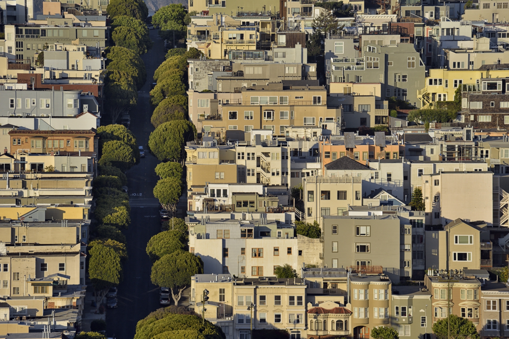 15 euphemisms you'll find in SF Craigslist housing posts