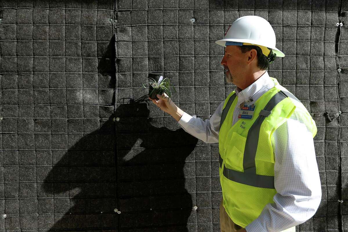H-E-B official Bill Triplett shows how a plant will live along an “living wall” during a tour of the downtown store. The wall will face Commander’s House Park.