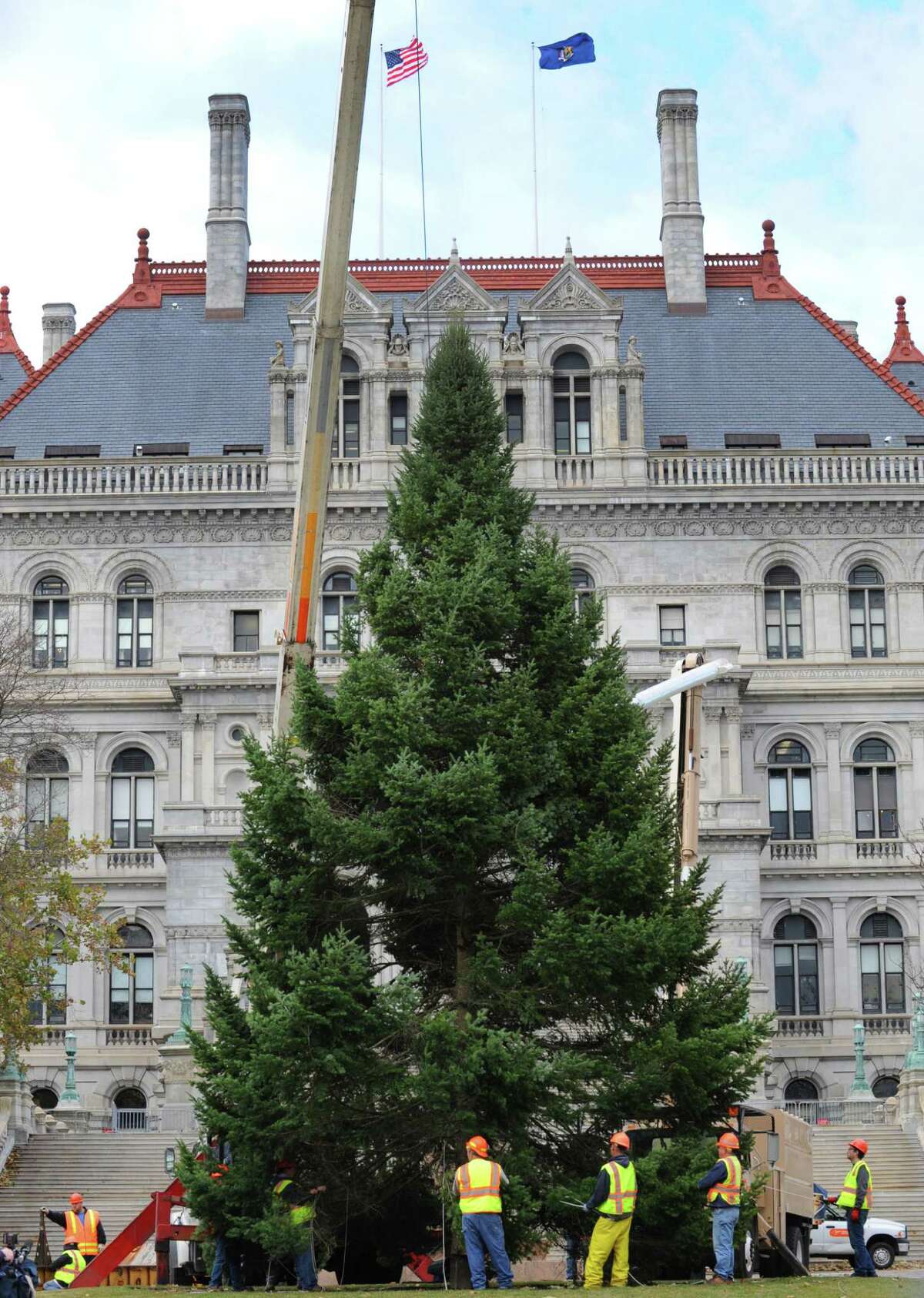 Christmas trees at Albany's East Capitol Park, Empire State Plaza