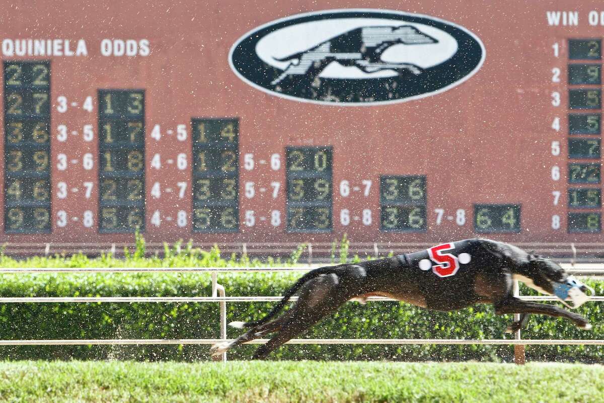 Gulf Greyhound Park in La Marque will run its last race on New Year's Eve.