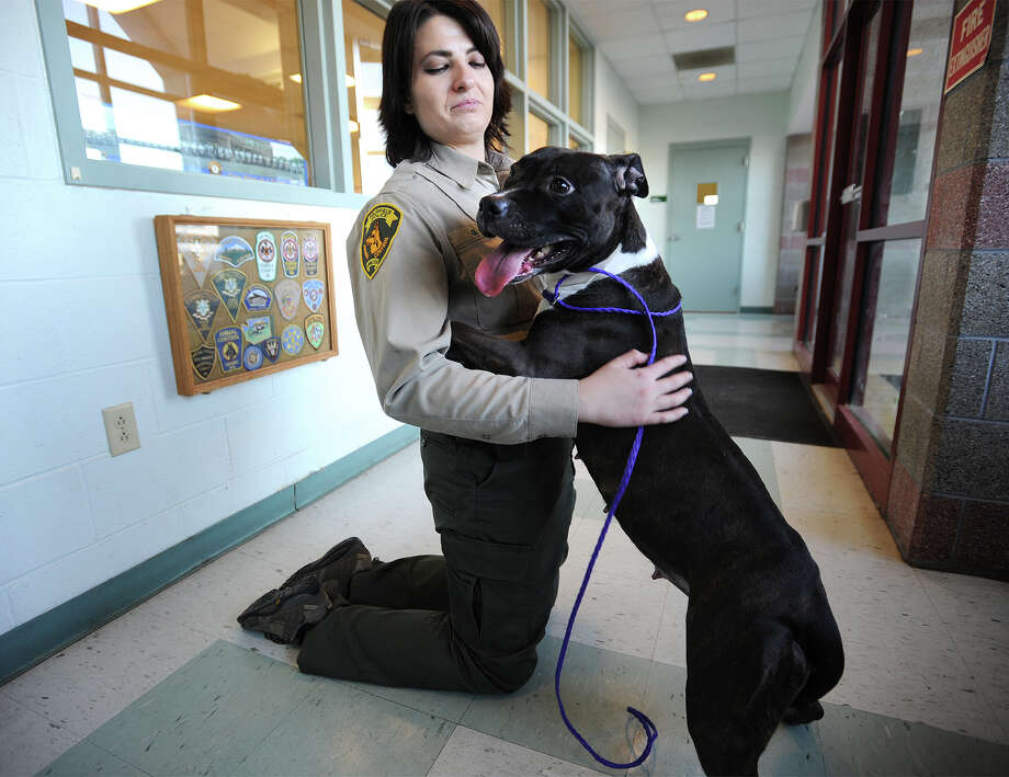bridgeport animal shelter