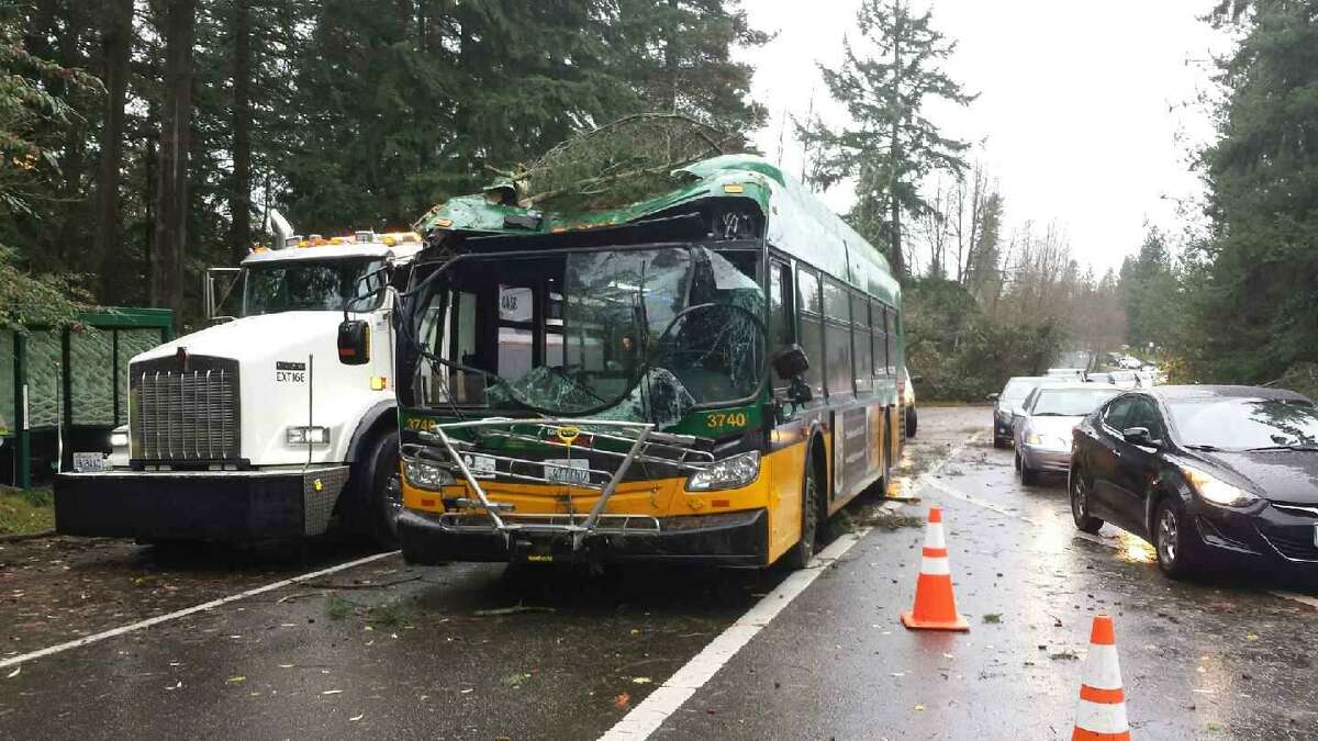 A tree hit a Metro bus Tuesday morning near Shoreline Community College during the day's wind storm. The driver was the sole occupant and was not seriously injured.