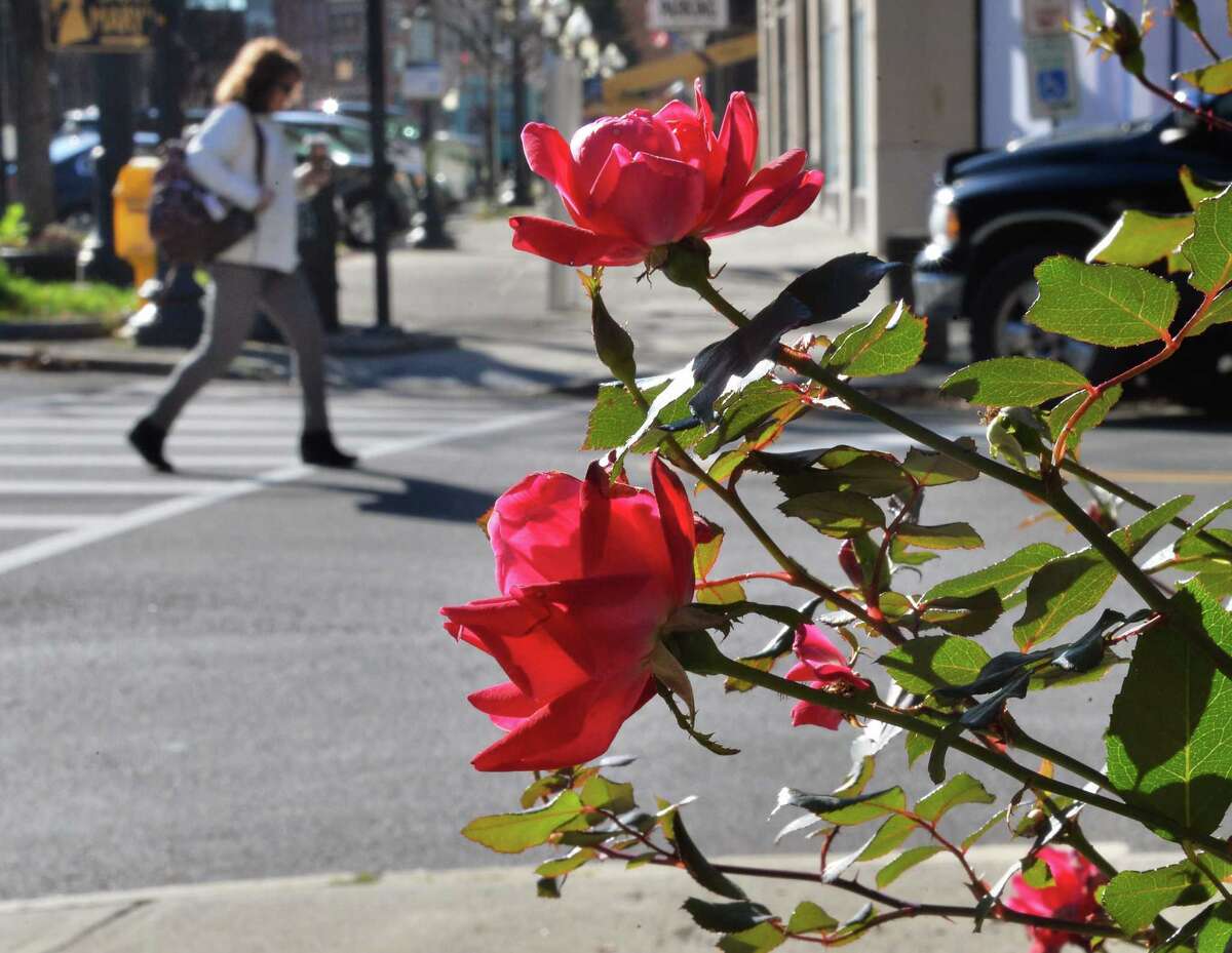 Cold overnight in Albany area