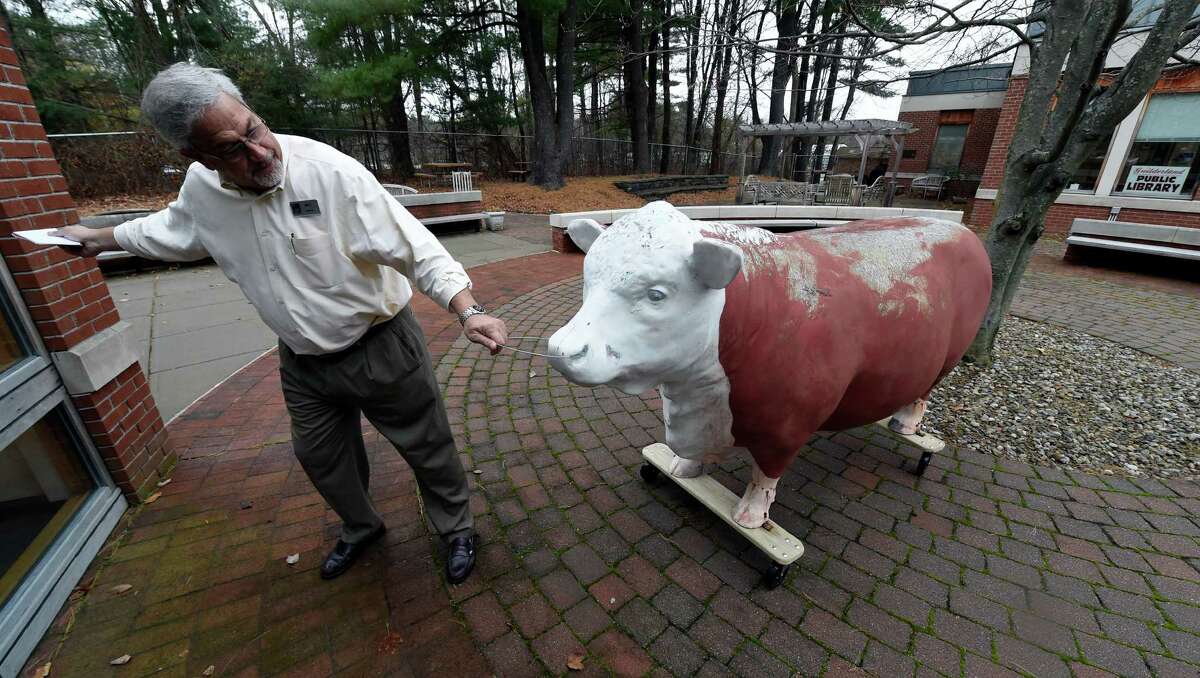 Mark Curiale, public information officer at Guilderland Public Library, tries to guide the fiberglass cow statue into position at the Guilderland Public Library Thursday, Nov. 19, 2015, in Guilderland, N.Y. The statue spent more than 50 yrs. atop the old Greulich's Market on Carman Road and was a town landmark. The iconic steer has a new home in the garden at the library and has been named Greufus. (Skip Dickstein/Times Union)