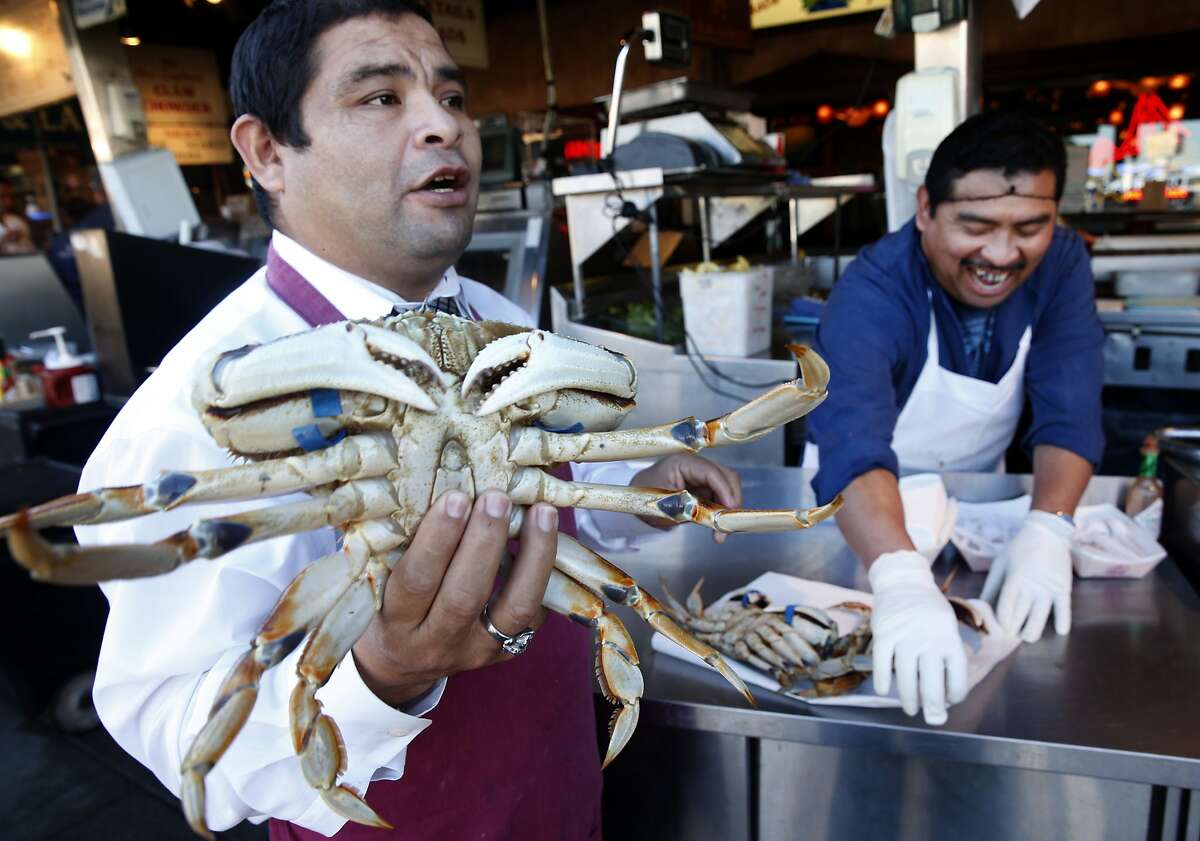 Jorge Cham (left) and Jose Hoil peddle Dungeness crab imported from Washington state to tourists walking past Nick's Lighthouse restaurant on Fishermans Wharf in San Francisco, Calif. on Friday, Nov. 20, 2015. Recent tests indicate that domoic acid in Dungeness crab have dropped to acceptable levels but it will still take a little while longer to lift the ban on the local crabbing season.