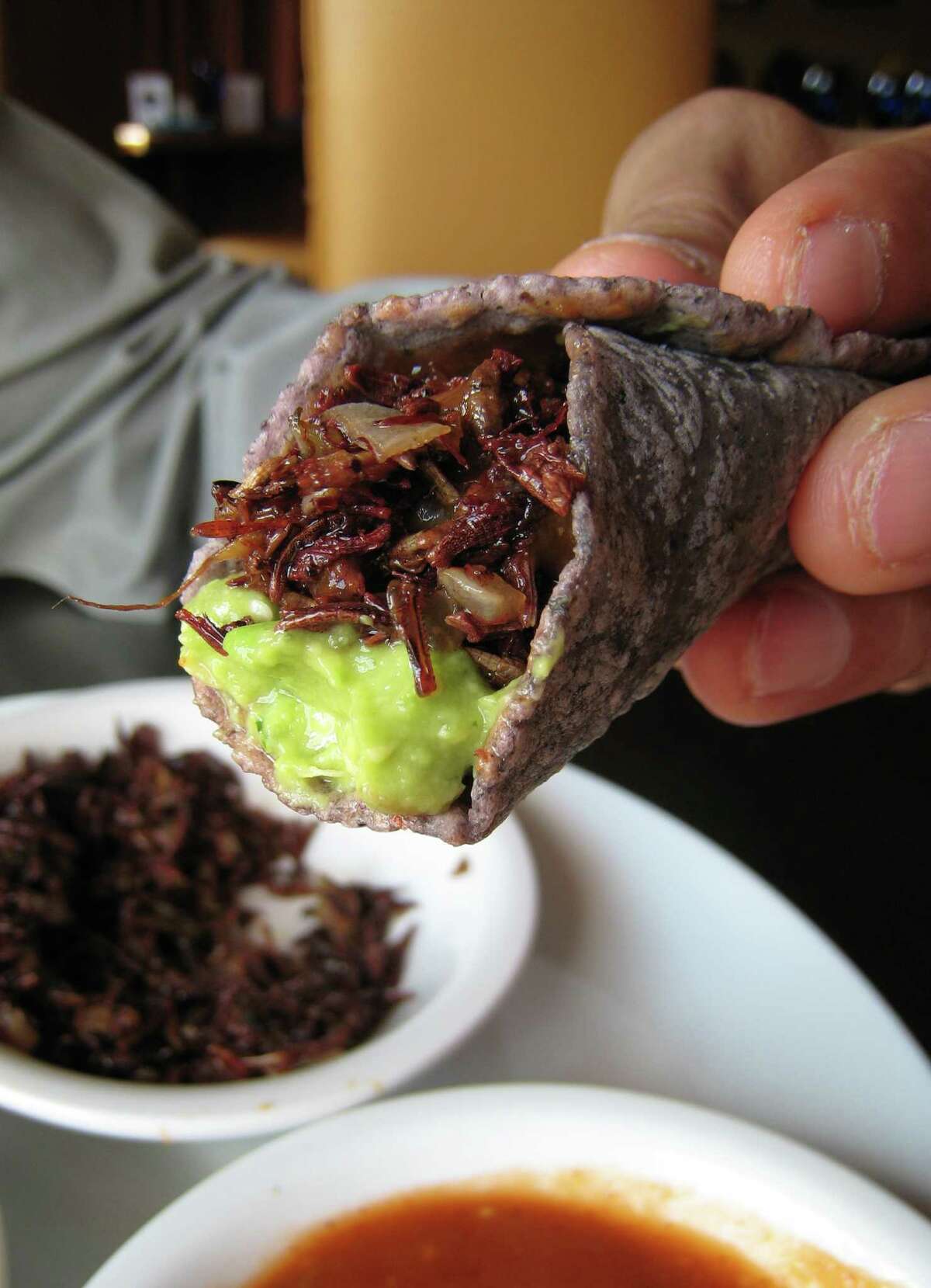 The menu at Hugo's now includes chapulines, grasshoppers served with guacamole, tortillas and sauce.