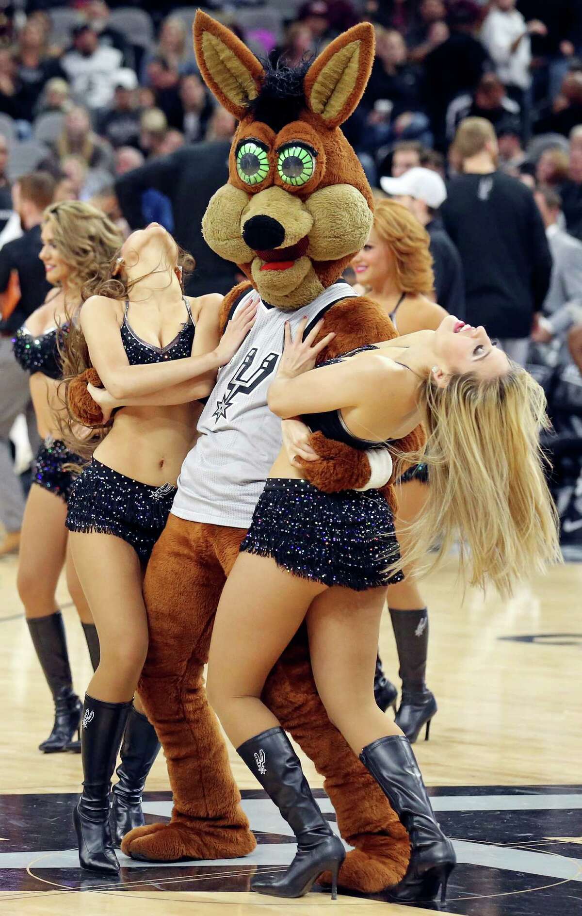 One of the most visible faces of the Spurs organization is calling it quits, but that doesn't mean it's the end of the Coyote.Click through to learn more about the Spurs Coyote's crazy life on and off the court.