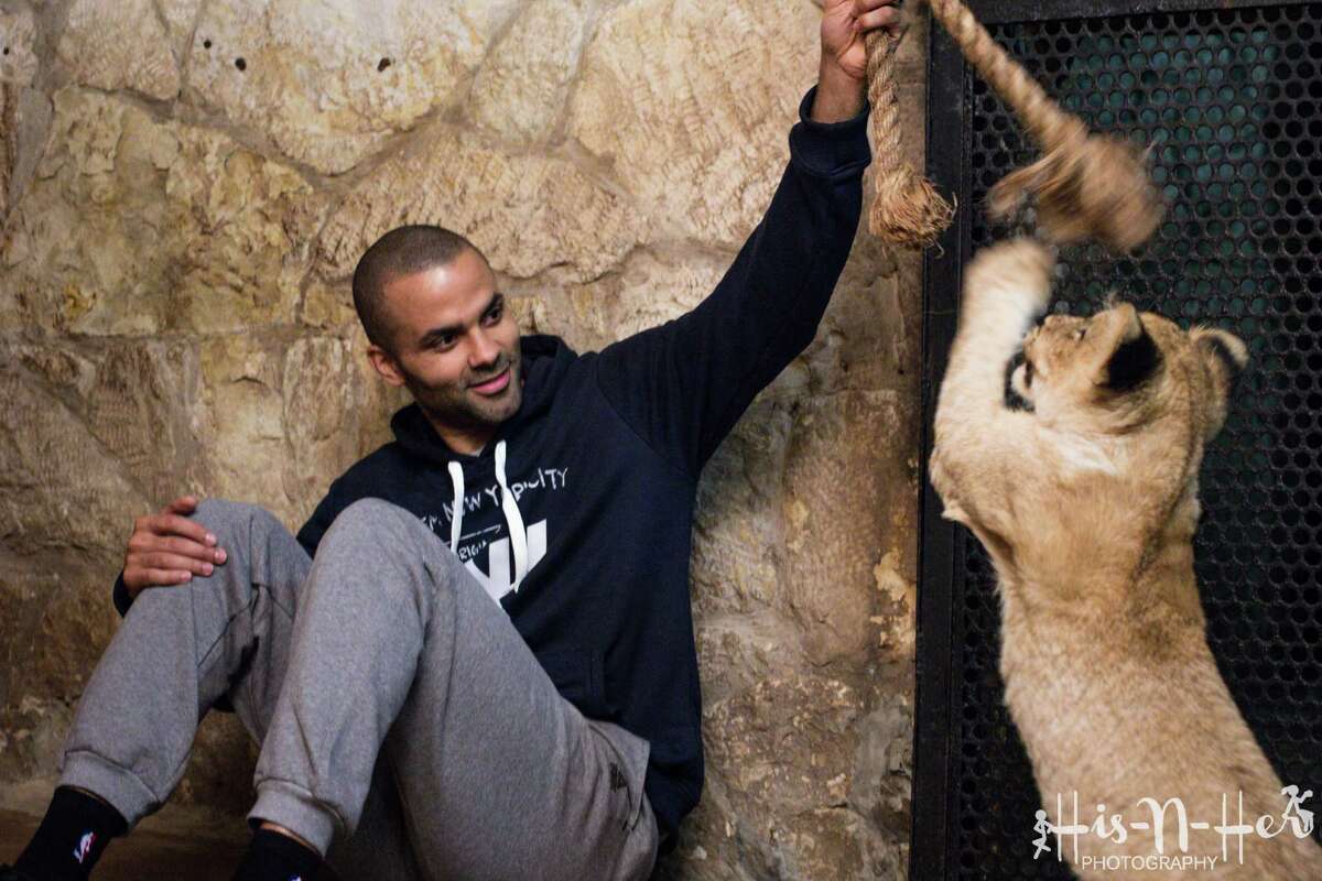 The Spurs star won the rights to name the baby lions earlier this month at an auction hosted by the zoo. The package also included a special encounter between the Parkers and the cubs.