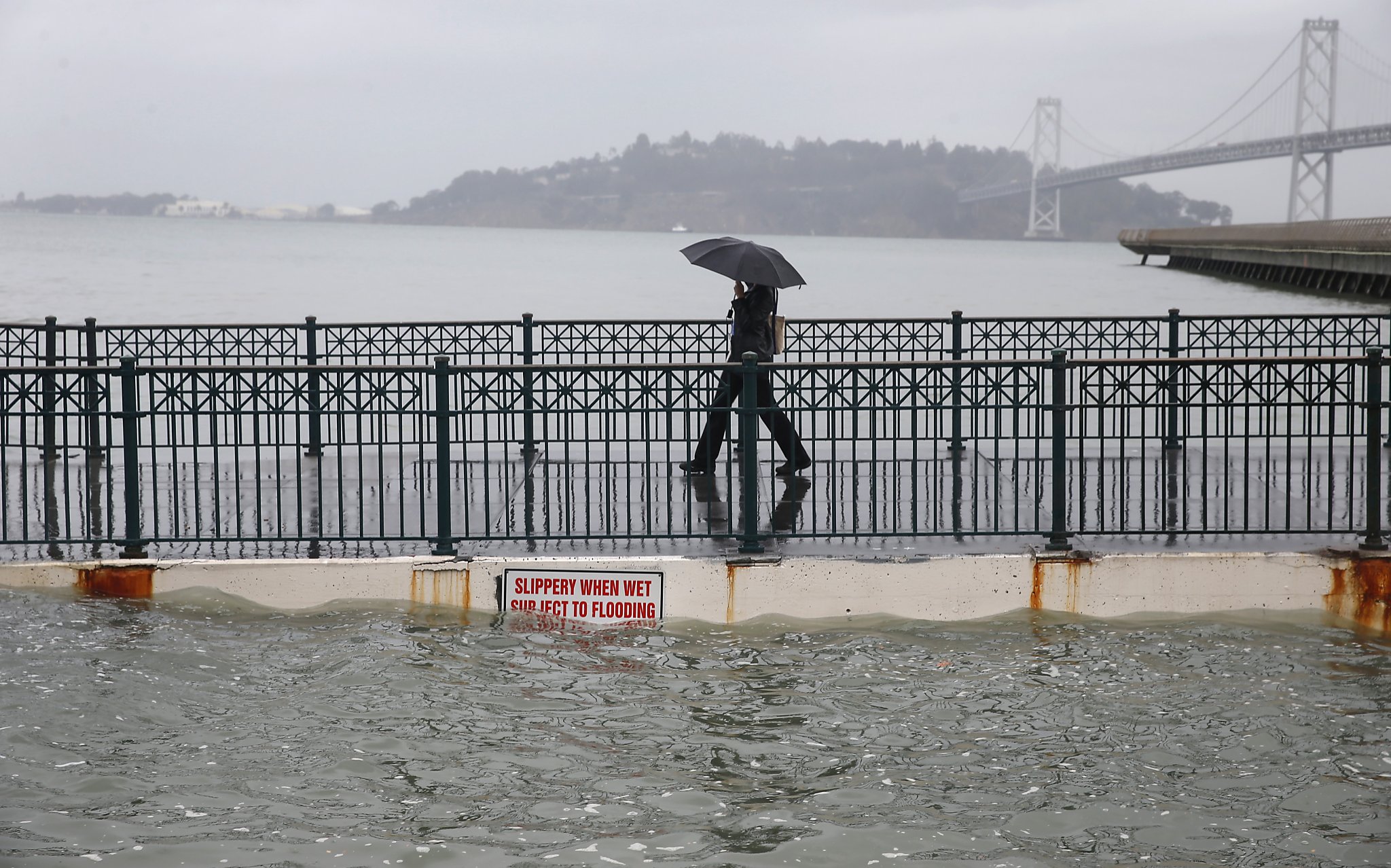 Lab explores projects to lessen effects of sea level rise on SF Bay