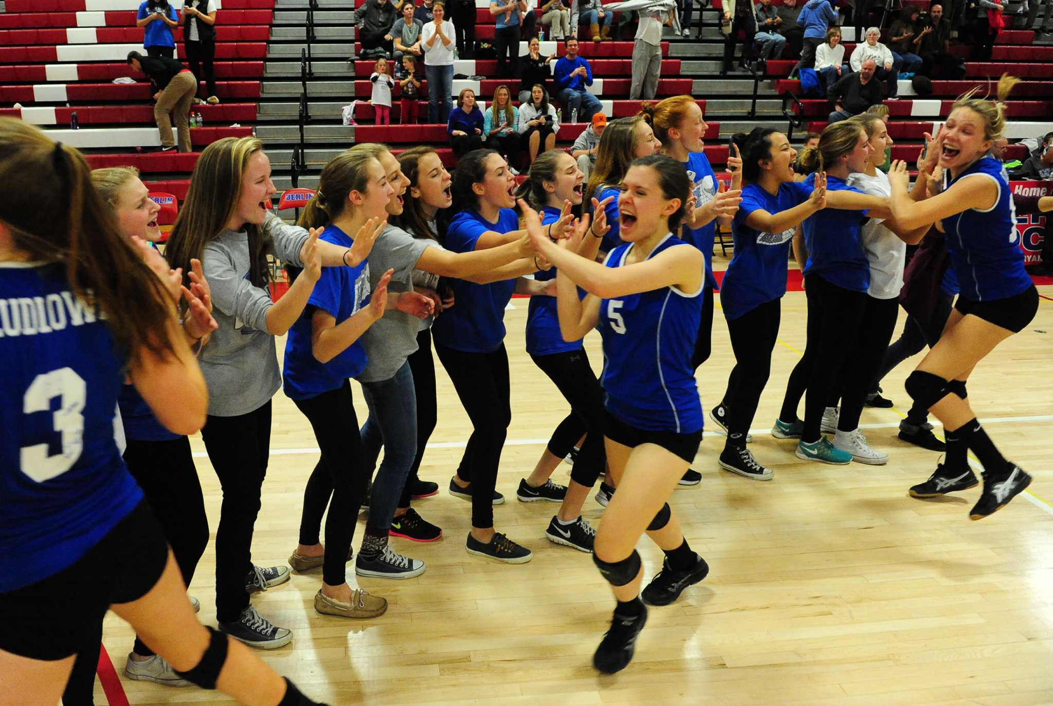Falcons volleyball soars to state title