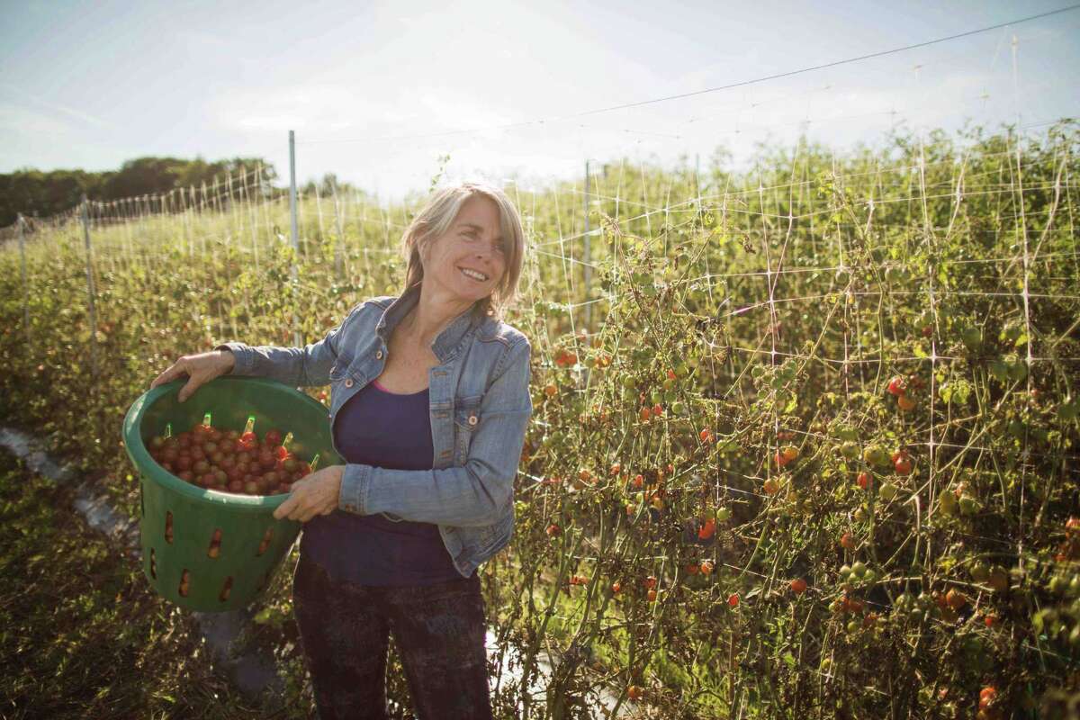 ‘Fastcasual’ restaurant serving locally sourced food expands to Greenwich