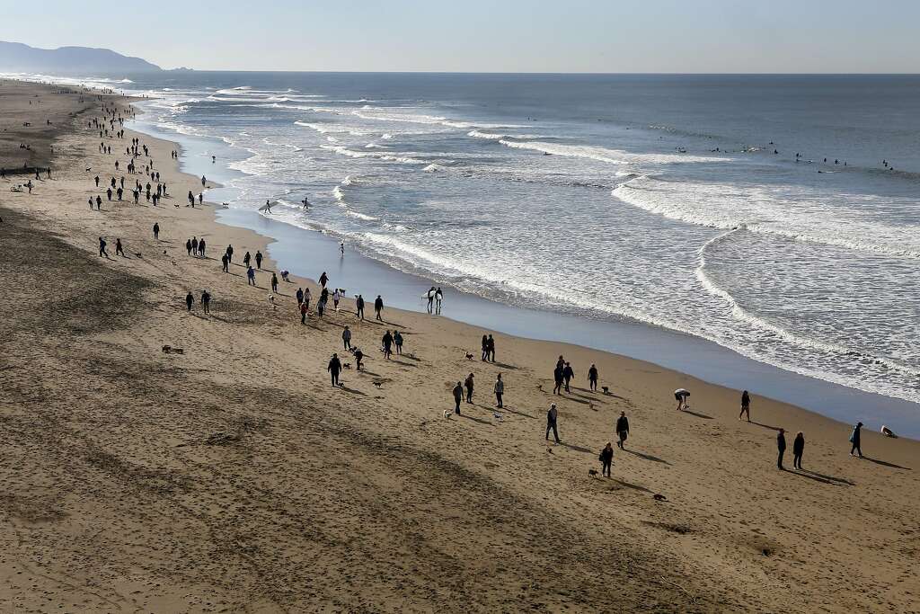 Small Dog Beach Walk At San Francisco S Ocean Humans And Their Pups Walk Down The S During Small Dog Beach At Ocean