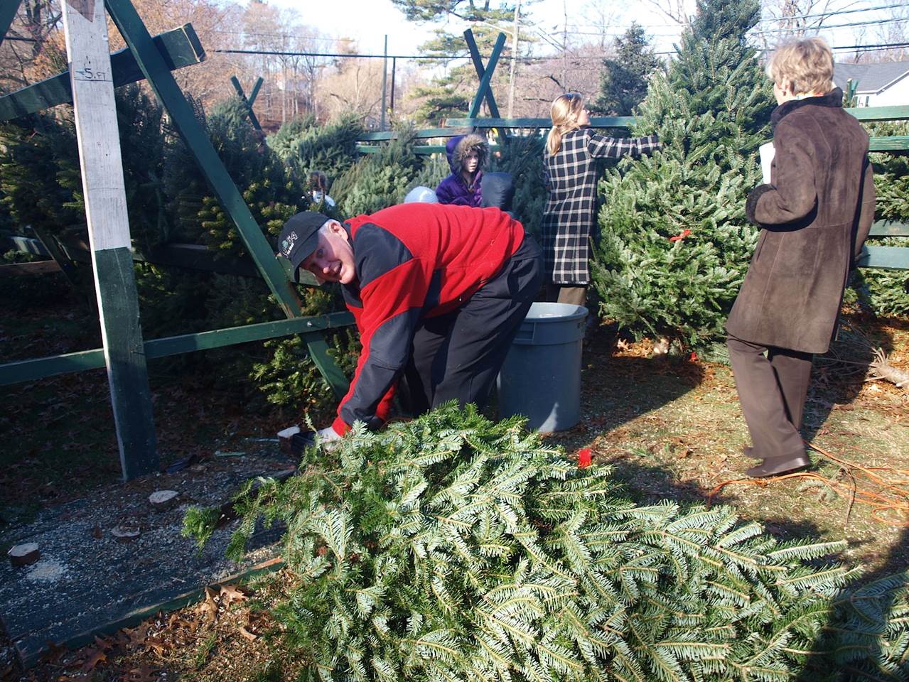 Christmas tree sales return to Greenwich church