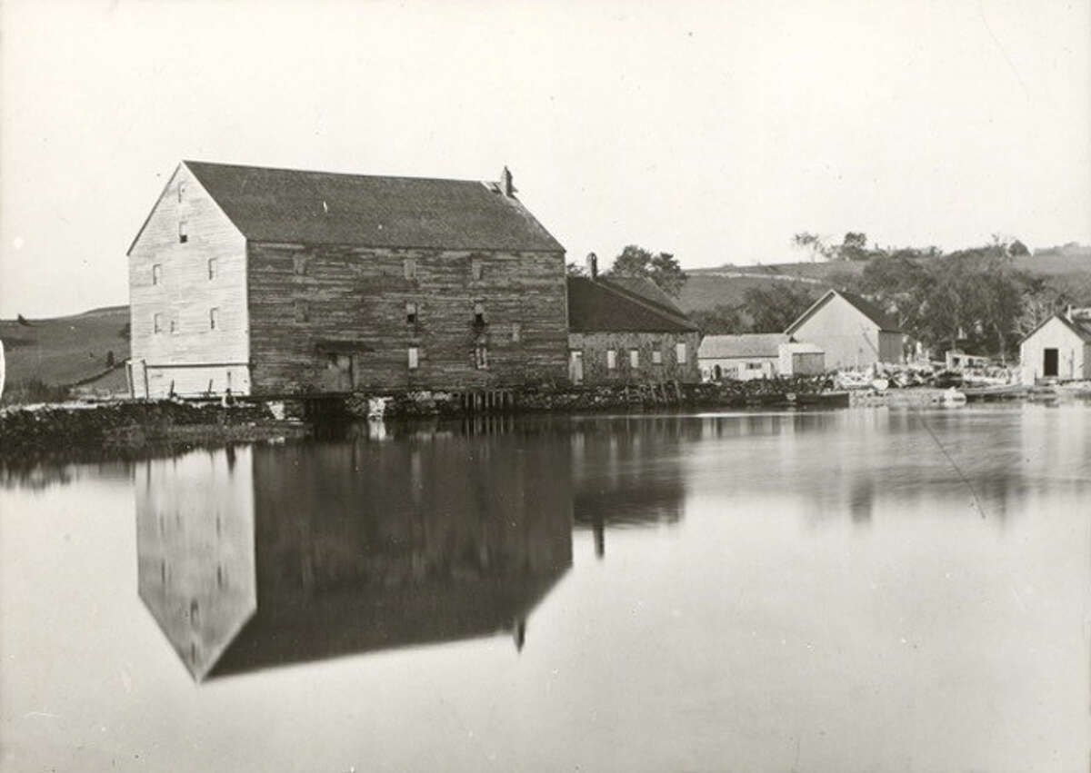 Celebrating Old Mill Pond, a place 'away from world' right at home