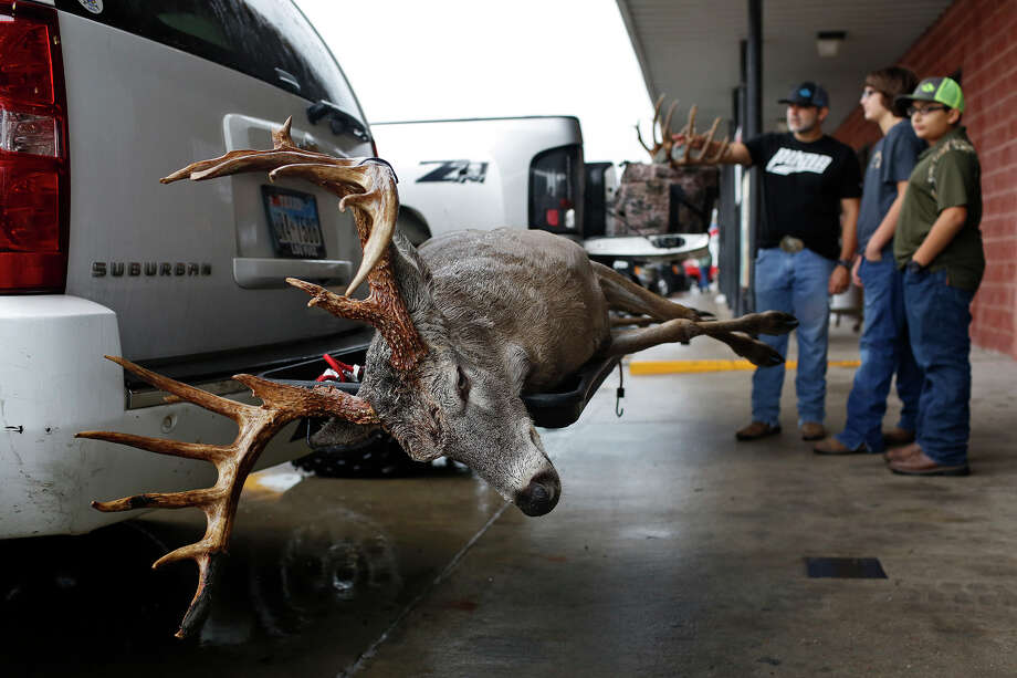 Muy Grande deer contest oldest in the state San Antonio ExpressNews