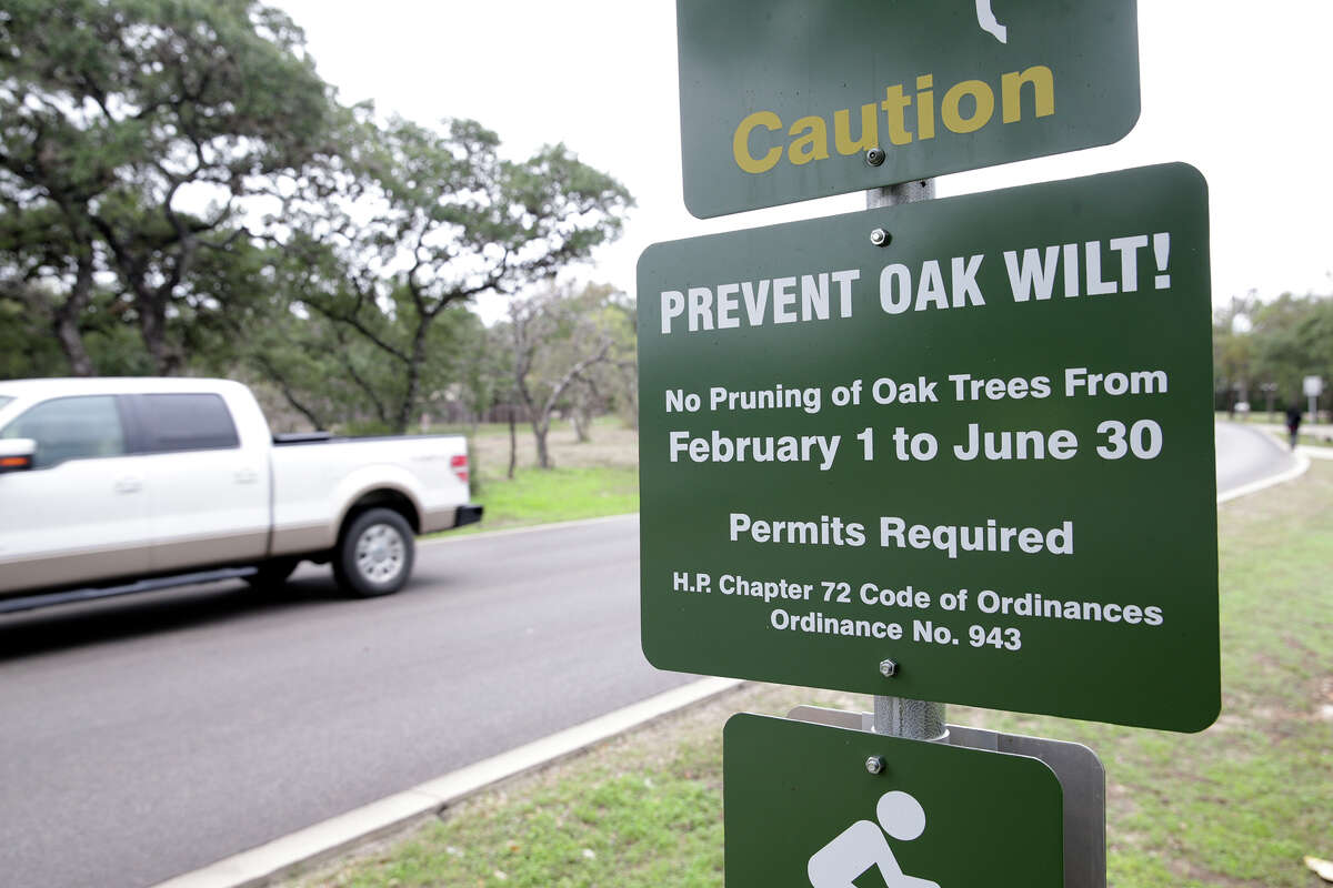 A warning sign is posted at the entrance to Hollywood Park in an effort to combat oak wilt infestation on the north side of San Antonio on November 25, 2015.