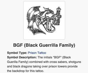 guerrilla fugitive