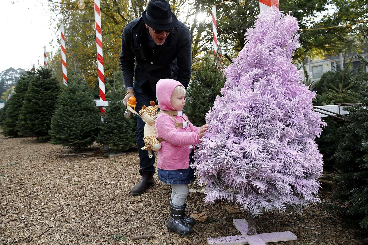 18-month-old Savannah Roach feels a Christmas tree painted pink with Christopher Roach at Clancy's Christmas Trees in San Francisco, California, on Wednesday, Dec. 2, 2015.