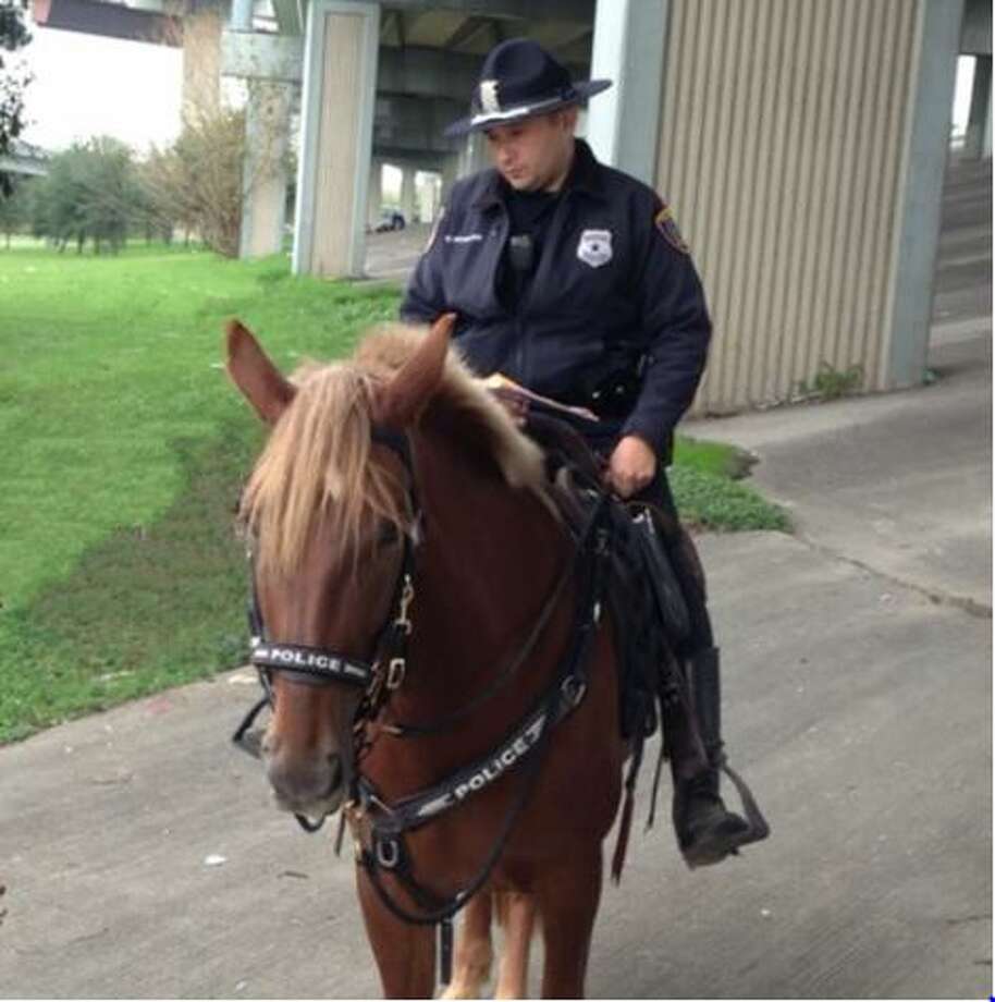Touching photo of Houston Police officer with dying horse ...