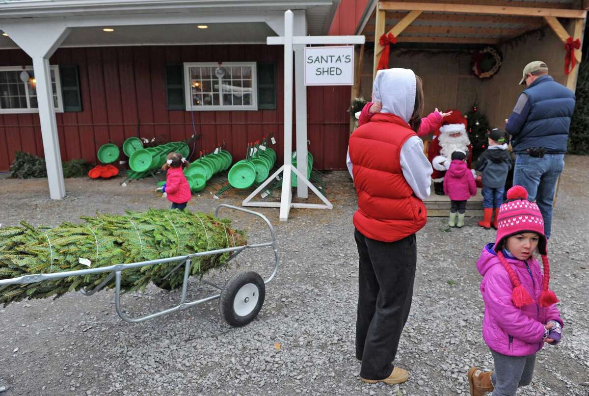 Photo Ellms Christmas tree farm