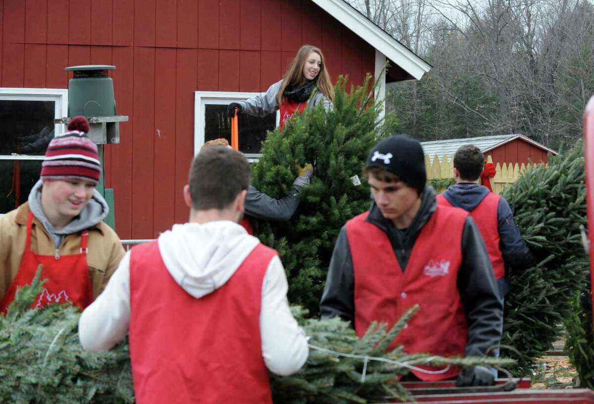 Photo Ellms Christmas tree farm