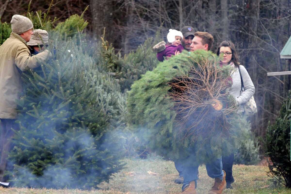 Photo Ellms Christmas tree farm