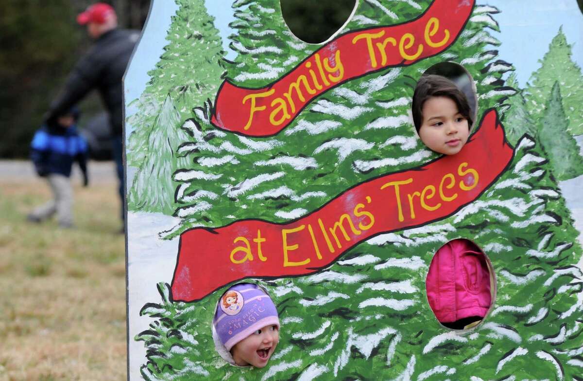 Photo Ellms Christmas tree farm