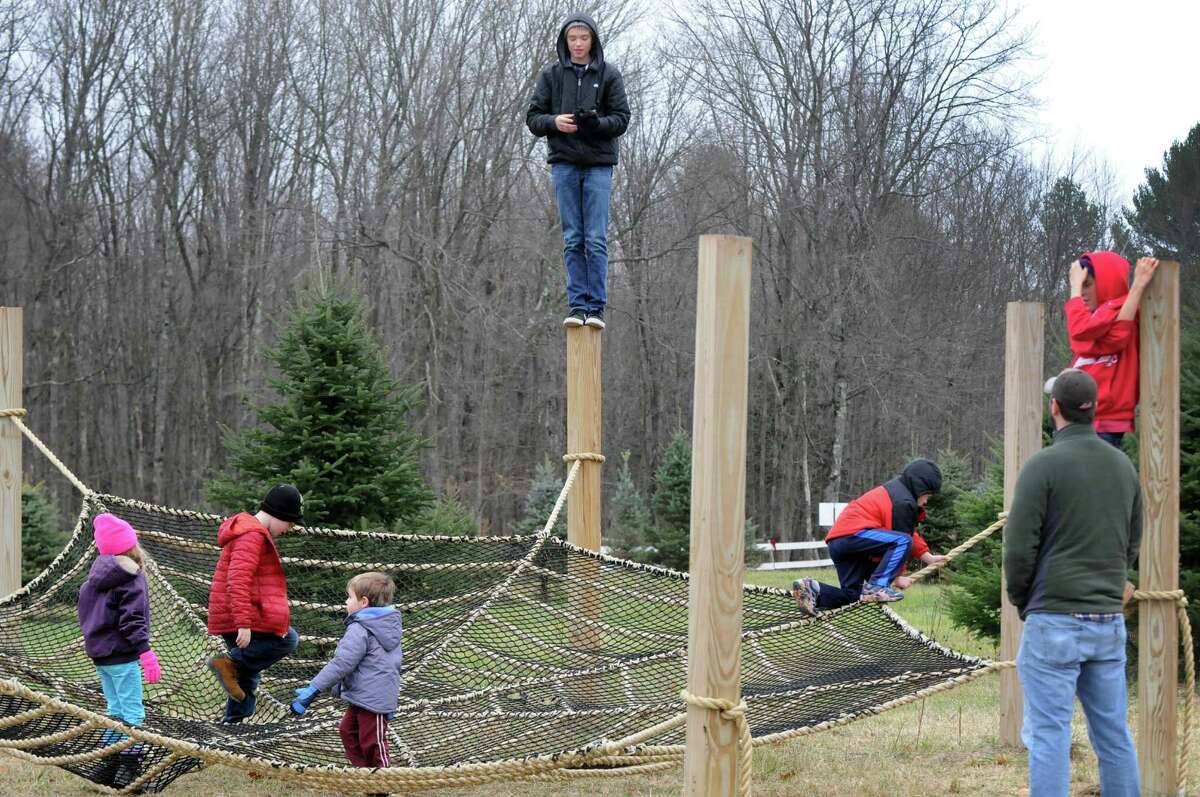 Photo Ellms Christmas tree farm