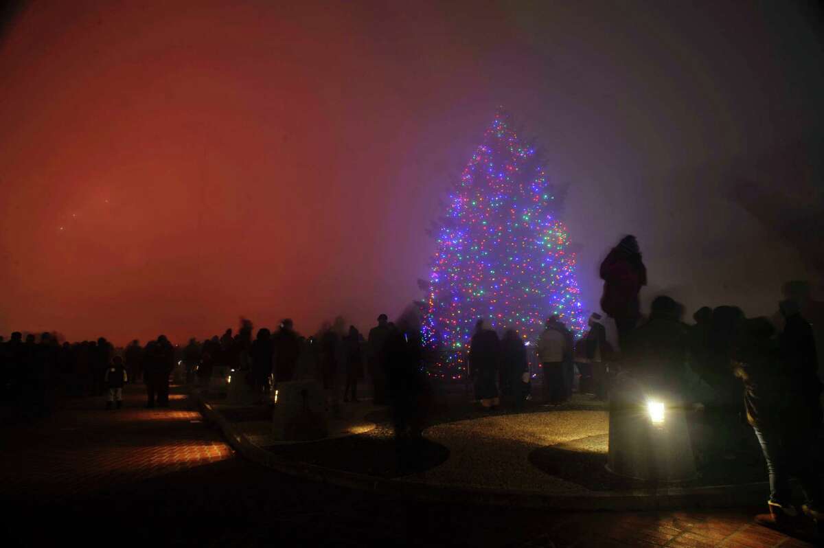 Photos Christmas tree lighting at Empire State Plaza