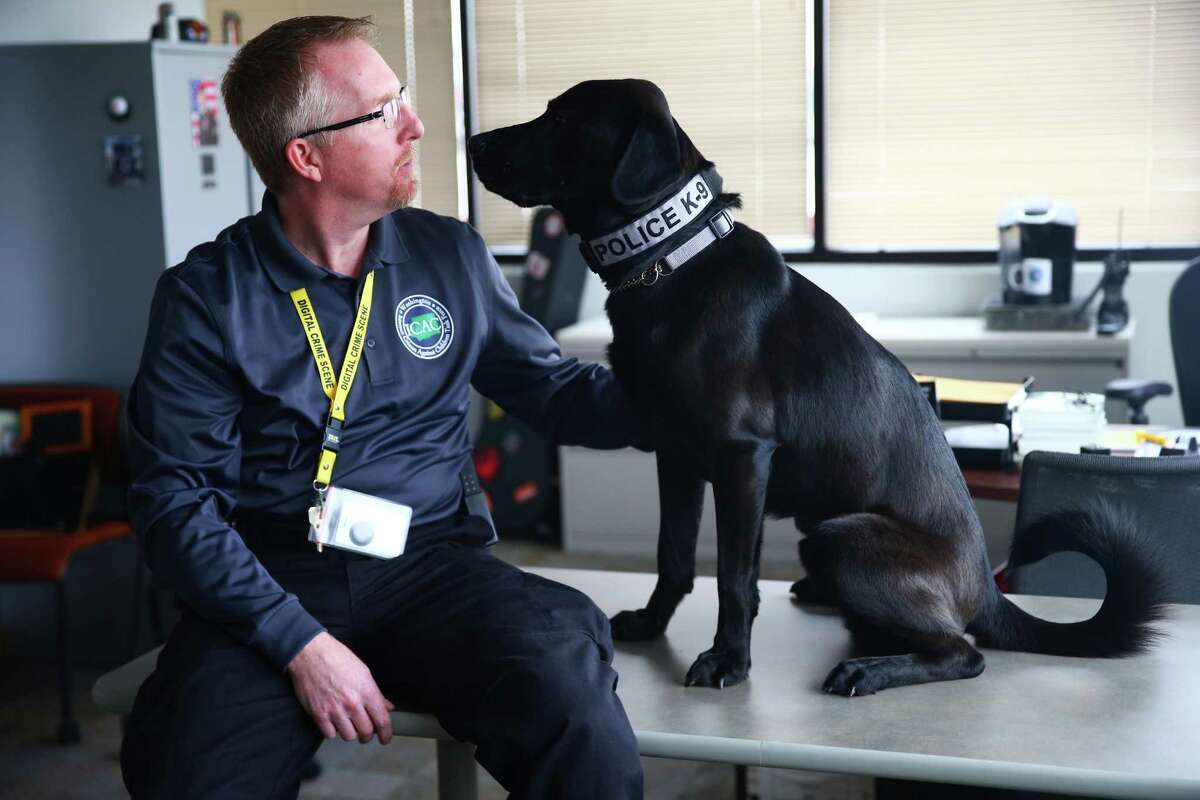 Seattle Police Department Detective Ian Polhemus sits with Bear, the department's electronics detecting dog. Bear, who joined the department's Internet Crimes Against Children team in August, hunts for hidden electronics during investigations into child pornography. Polhemus, a longtime investigator with the unit, is Bear's handler.