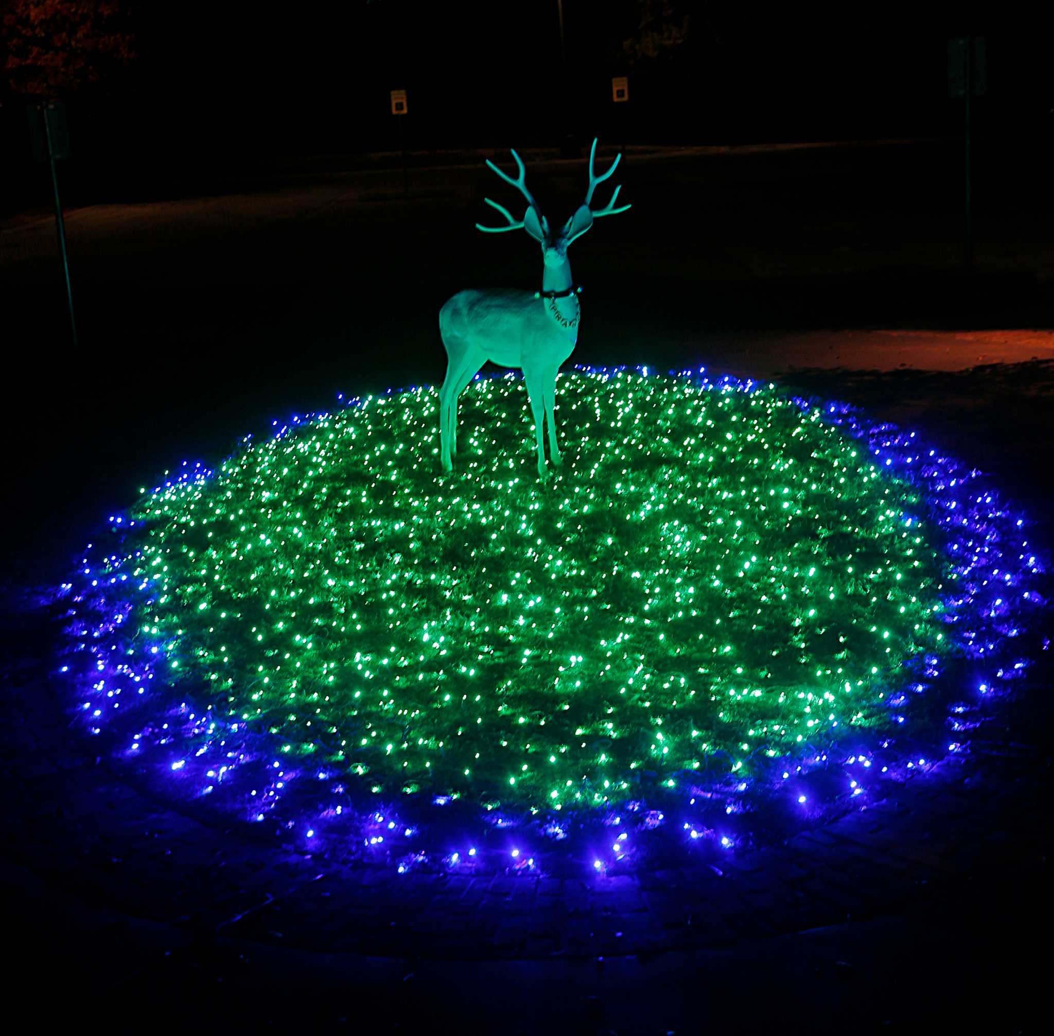 New "Christmas Village" lights up Bayou Bend