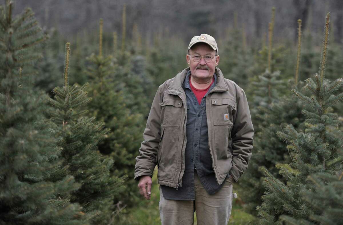 Ben Stiles, whose family has owned Ragland Farm in Southbury for generations, stands in a field of pine trees on the farm.