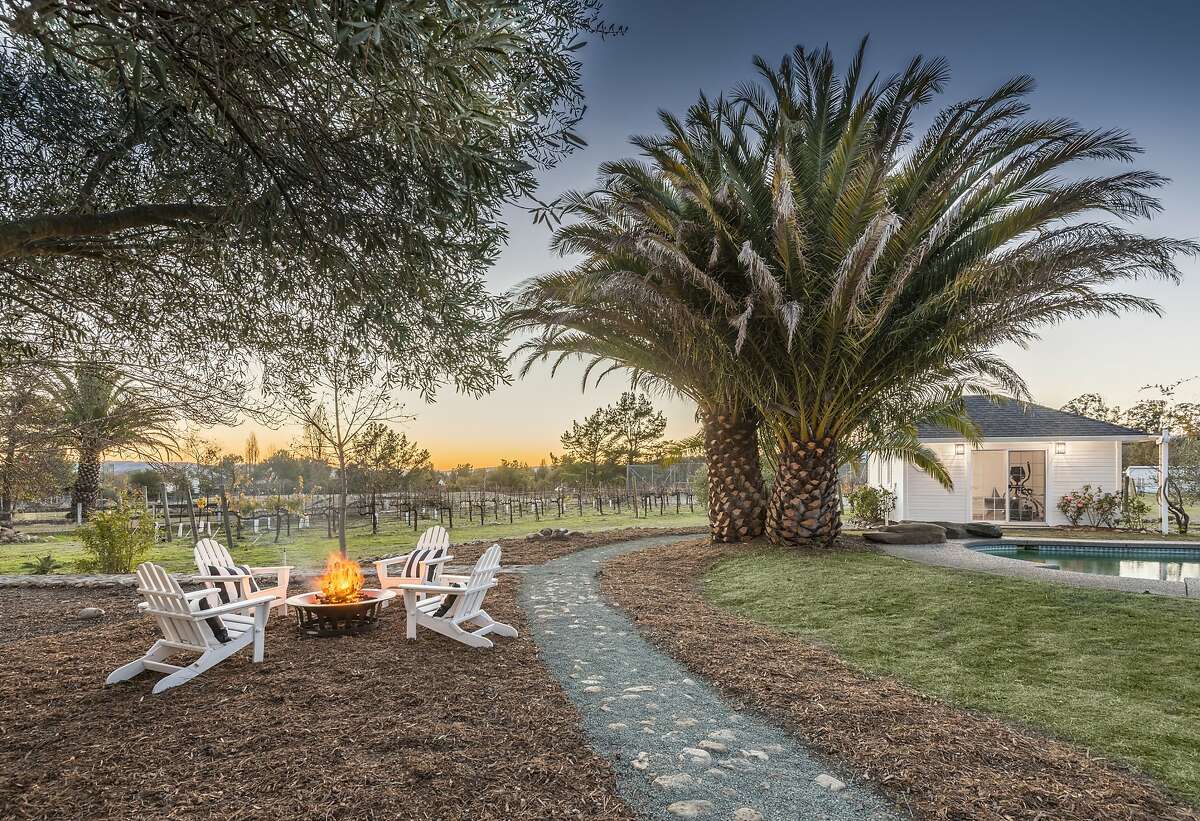 Hobby vineyard, entertainer’s backyard in Wine Country