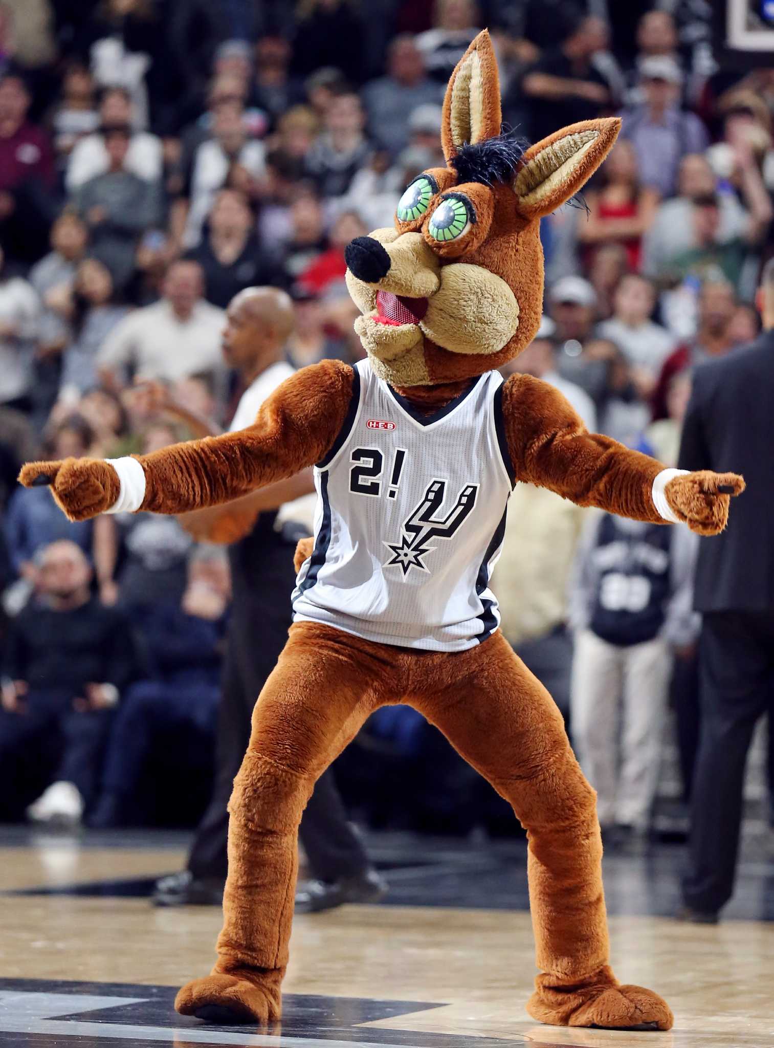 Spurs Coyote Mascot Challenge