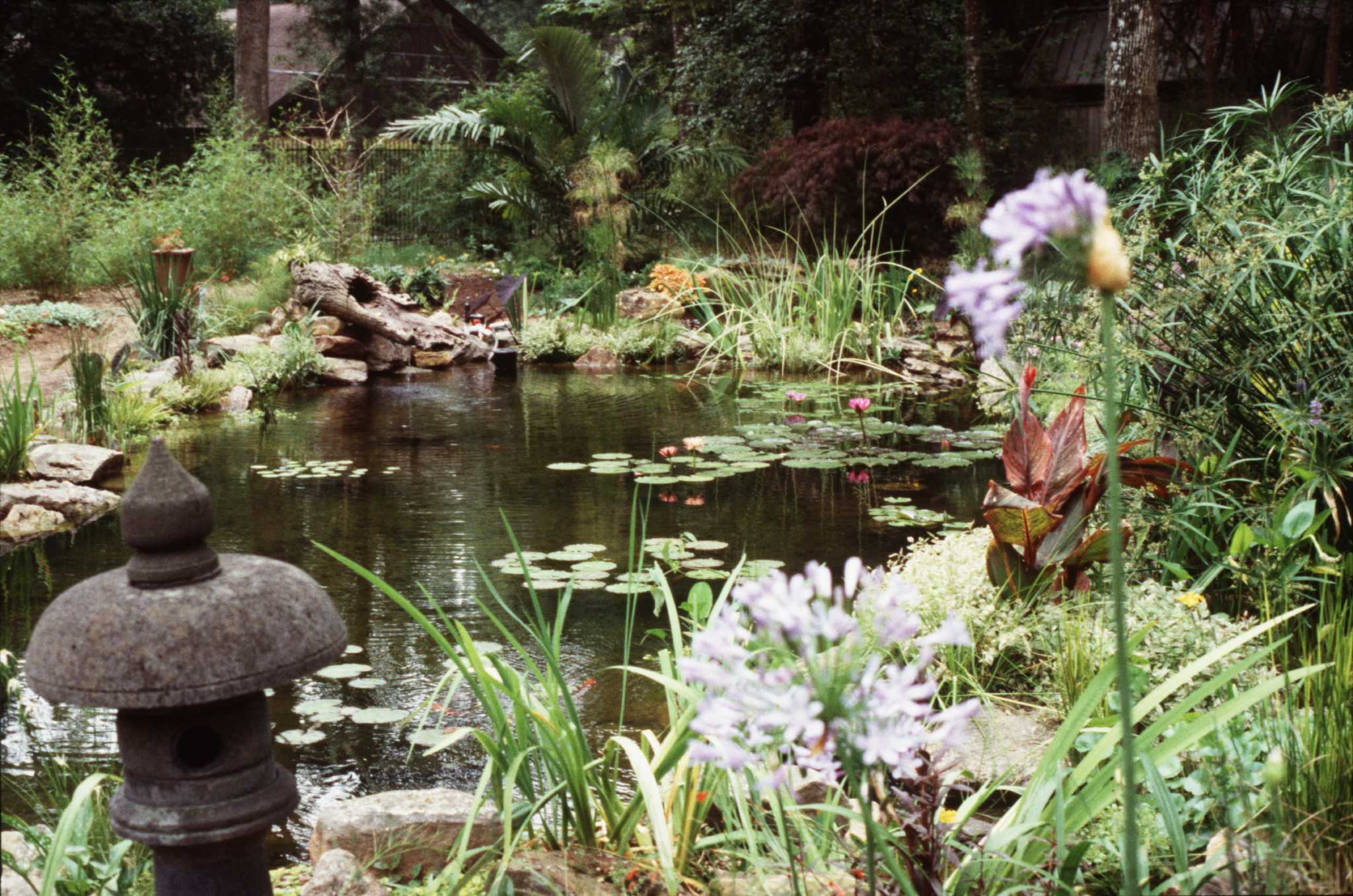 Rain Garden, Oak Lawn IL