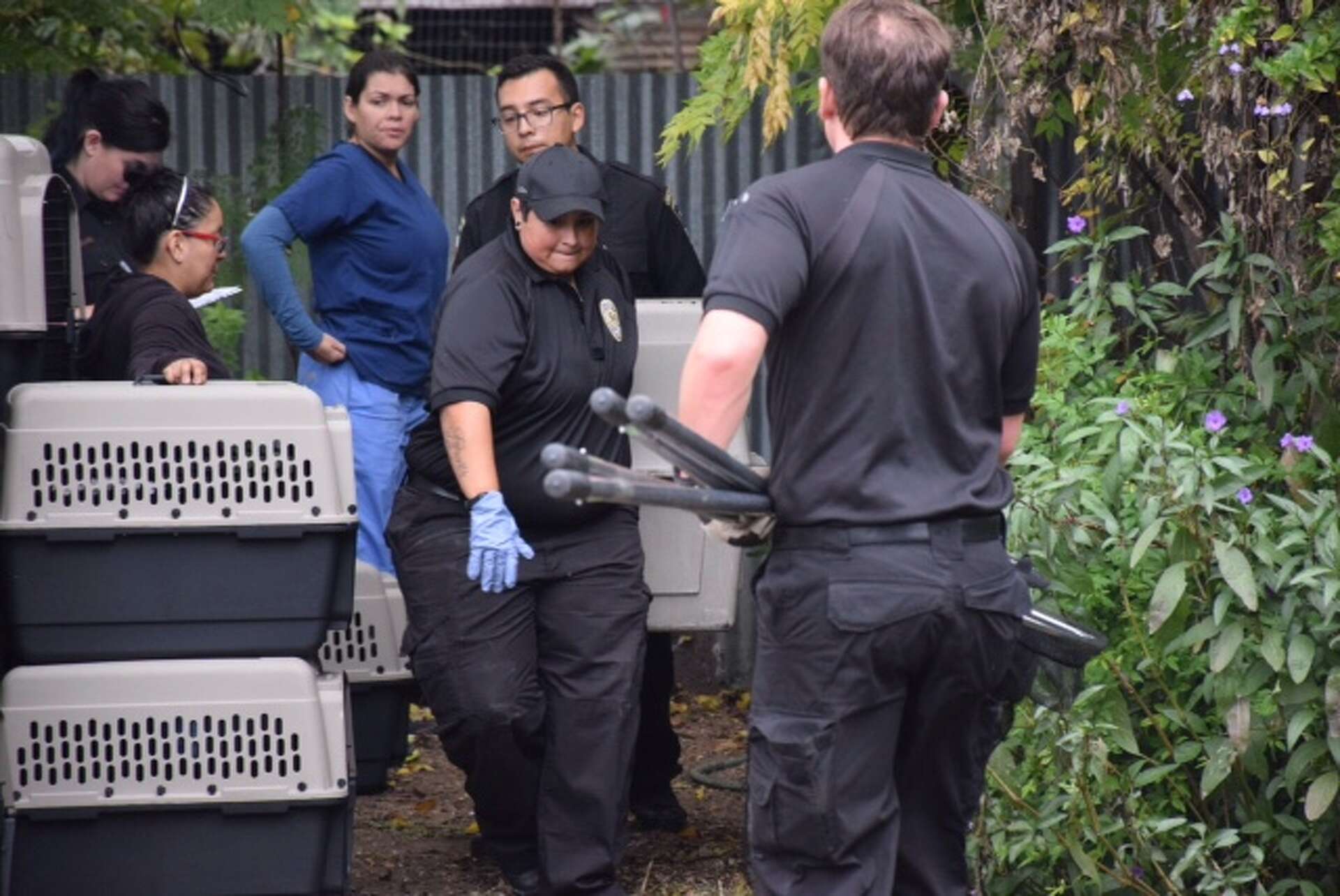 ACS: More than 100 animals seized from West Side home