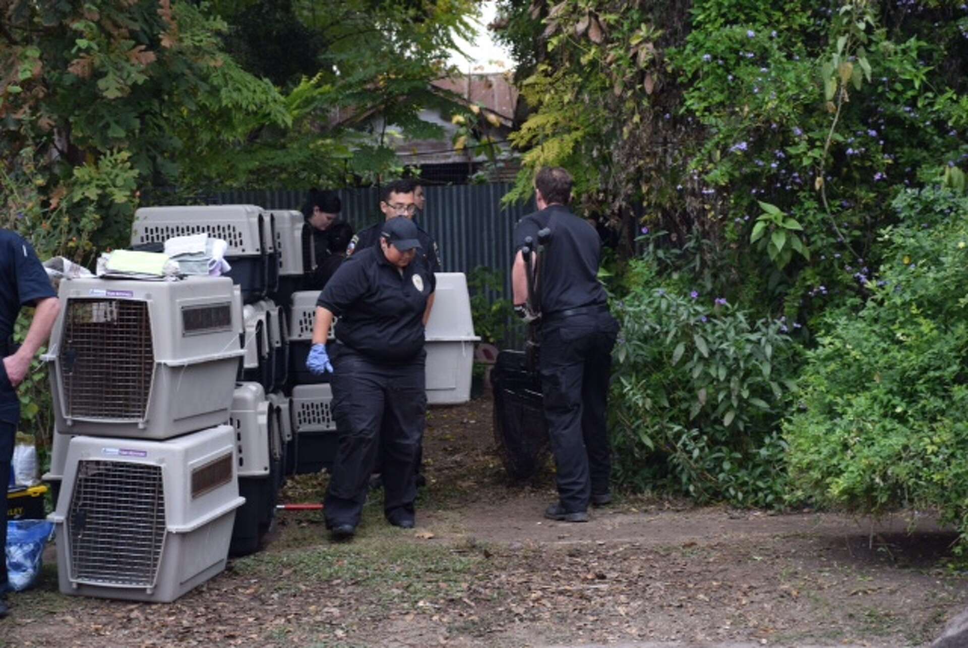 ACS: More than 100 animals seized from West Side home